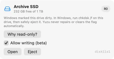 Archive SSD is read-only because Windows marked it dirty, with chkdsk /f recovery advice.